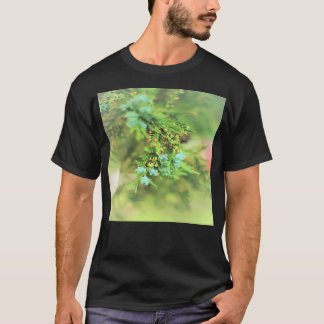 Verse groen en Plant leven - Pine Tree Planten Bo T-shirt