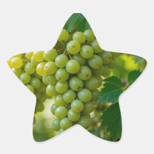 Verse Groene Druif Ster Sticker