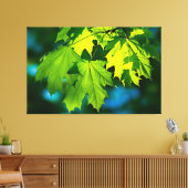 Verse groene esdoorbladeren canvas afdruk (Insitu (Woonkamer))