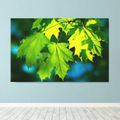 Verse groene esdoorbladeren canvas afdruk (Insitu (Houten vloer))