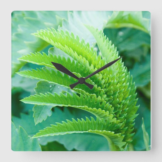Verse groene lente bladeren Wall Clock Vierkante Klok (Voorkant)
