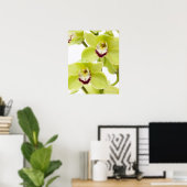 Verse groene orchidee - geïsoleerd op wit poster (Thuiskantoor)