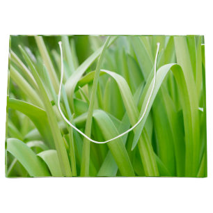 Verse groene plantenbladeren groot cadeauzakje