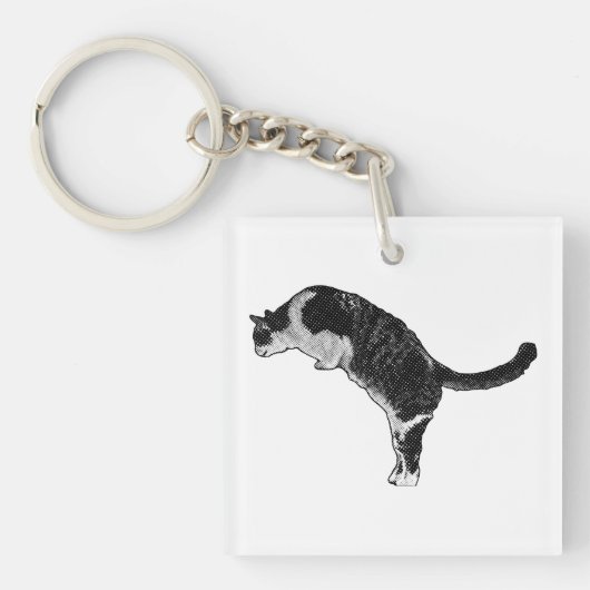 Verse kattenaccent sleutelhanger (voorkant)