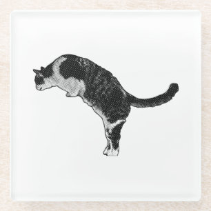 Verse kattenenergie glazen onderzetter