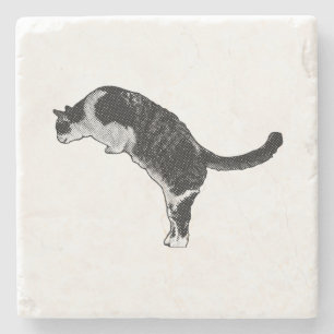 Verse kattenenergie stenen onderzetter