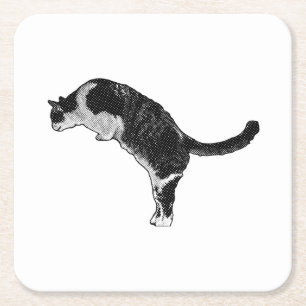 Verse kattenenergie vierkante kartonnen onderzetter