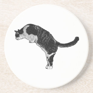Verse kattenenergie zandsteen onderzetter