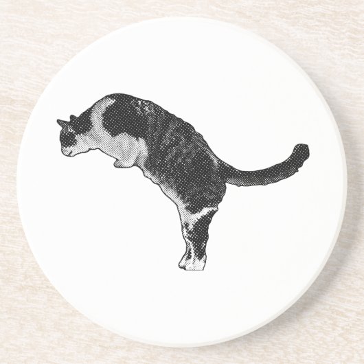 Verse kattenenergie zandsteen onderzetter (Voorkant)