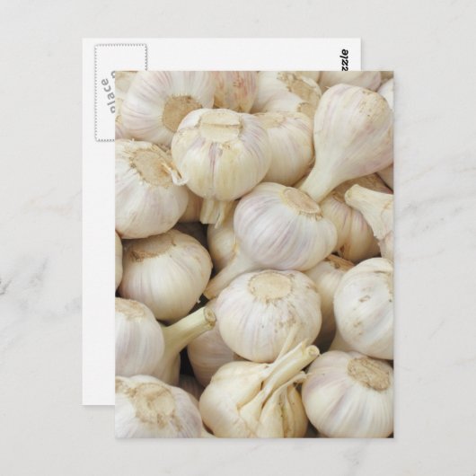 Verse knoflookbollen briefkaart (Voorkant / Achterkant)