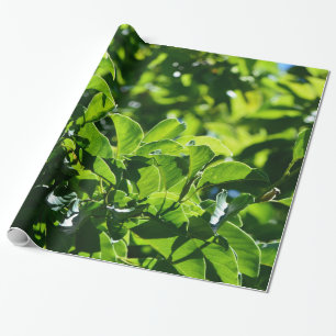 verse lente, zomergroene bladeren. Natuur bloem Cadeaupapier