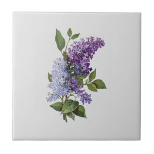 Verse Lilacs op grijs - Frans land Home Decor Tegeltje
