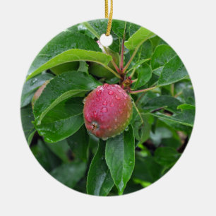 Verse rode appel op boom keramisch ornament