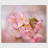 Verse roze Sakura-bloemen op roze Cadeaupapier (Vlak)
