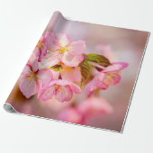 Verse roze Sakura-bloemen op roze Cadeaupapier (Uitgerold)