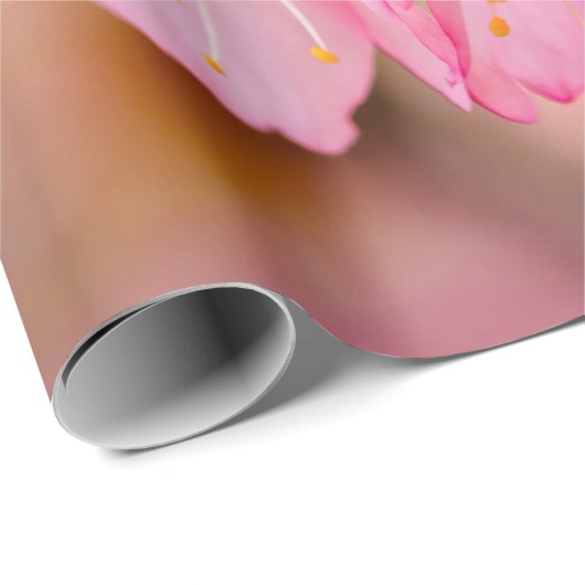 Verse roze Sakura-bloemen op roze Cadeaupapier (Rol Hoek)