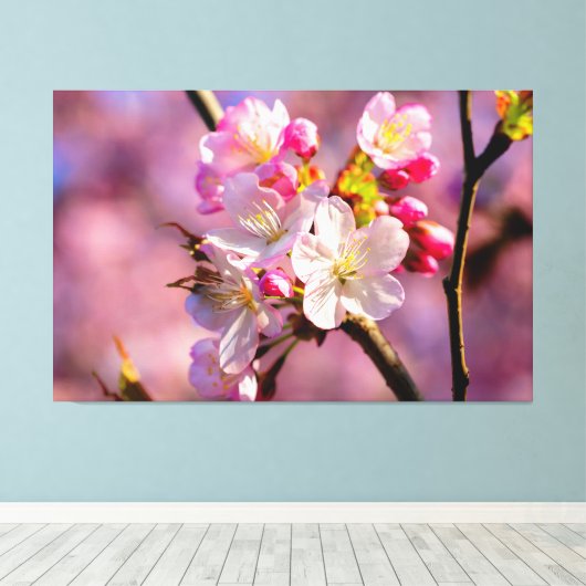 Verse Sakura-bloemen in de tuin in Springtime Canvas Afdruk (Insitu (Houten vloer))