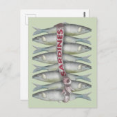 Verse sardines briefkaart (Voorkant / Achterkant)