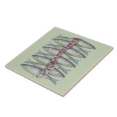 Verse sardines tegeltje (Zijkant)