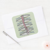 Verse sardines vierkante sticker (Envelop)