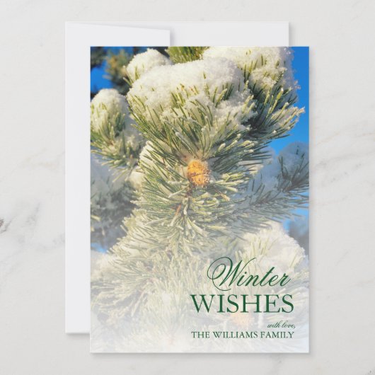 verse sneeuw op pijnnaalden (Voorkant)