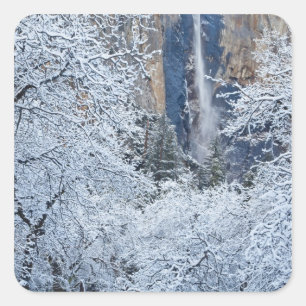 Verse sneeuwval in de bomen onder Bridalveil Vierkante Sticker