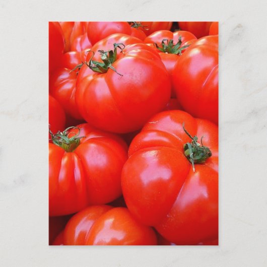 verse tomaten briefkaart (Voorkant)
