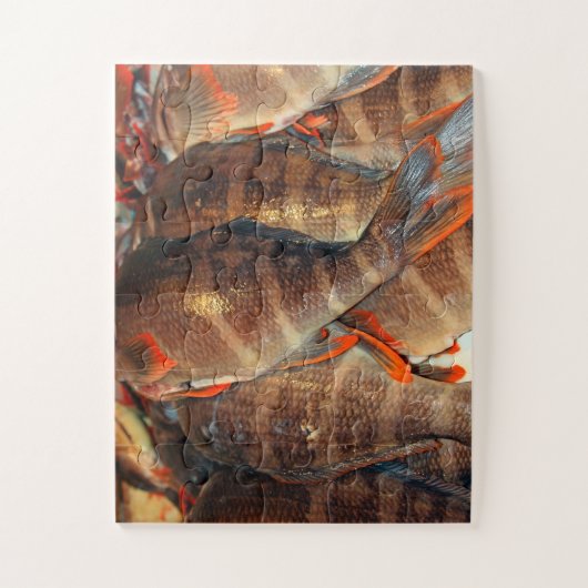 Verse vis legpuzzel (Verticaal)