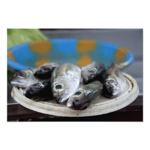 Verse vis op de vismarkt Mercado de Peixe), Foto Afdruk