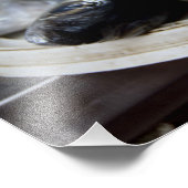 verse vis op de vismarkt (Mercado de Peixe), Foto Afdruk (Hoek)