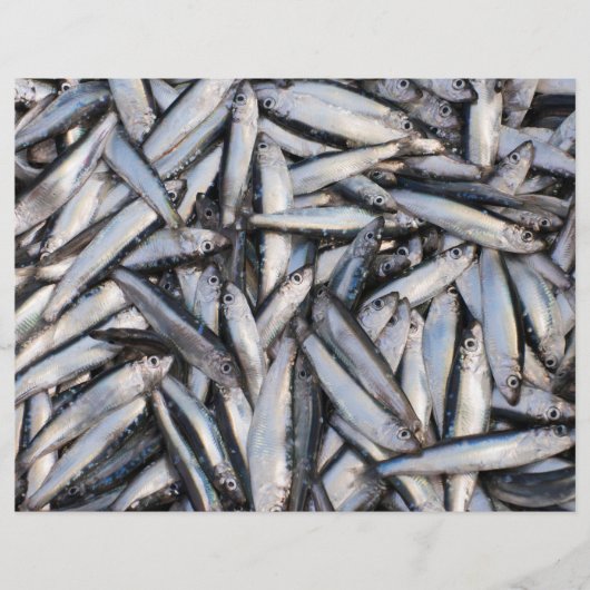 Verse visvangst - voedselingrediënten. flyer (Voorkant)