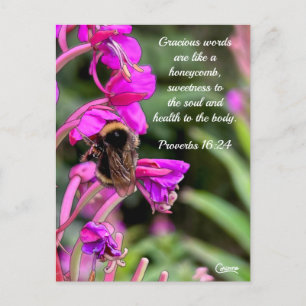 Verset Bible Bumble Bee - Carte Postale