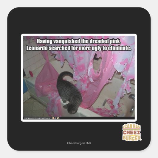 Versloeg de gevreesde roze vierkante sticker (Voorkant)