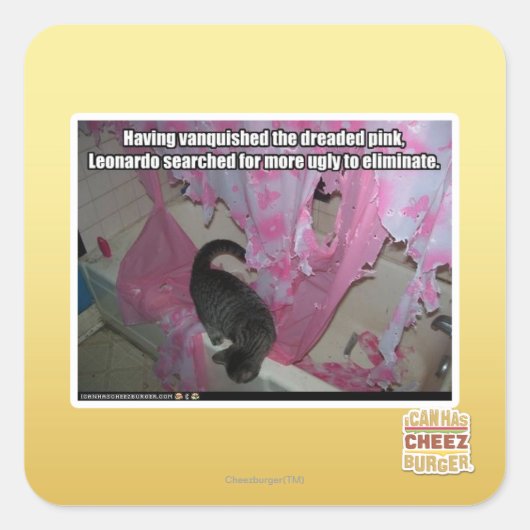 Versloeg de gevreesde roze vierkante sticker (Voorkant)