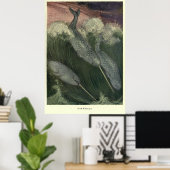  versmallen (1909) poster (Thuiskantoor)