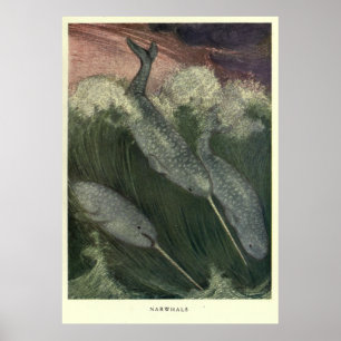  versmallen (1909) poster