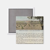 Verso Alameda Magneet (Voorkant / Achterkant)