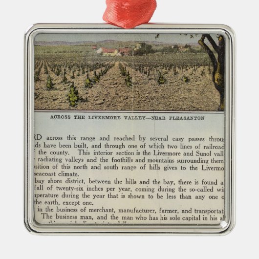 Verso Alameda Metalen Ornament (Voorkant)