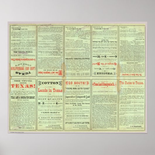 Verso State of Texas Poster (Voorkant)