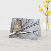 Versperde Uil met een lichte sneeuwval Kaart (Gele Bloem)