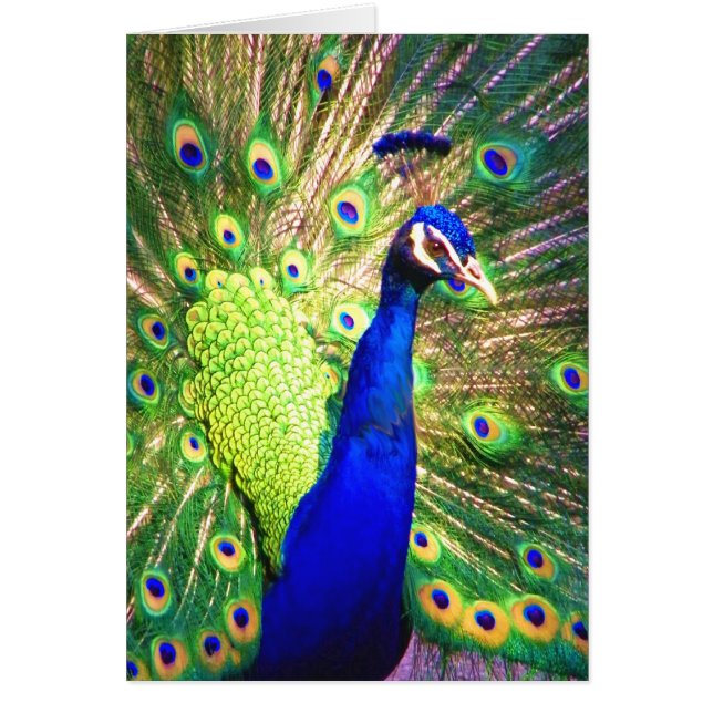 Verspreid de liefde (Voorkant)