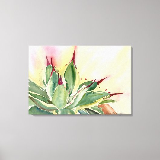 Verspreid dwergagave canvas afdruk (Voorkant)
