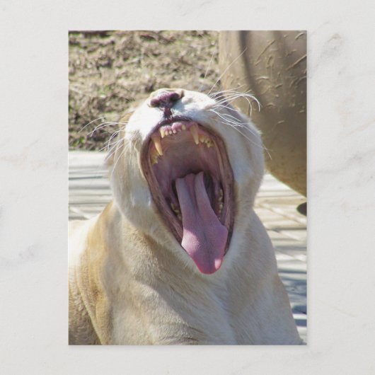 Verspreid het nieuws! briefkaart (Voorkant)