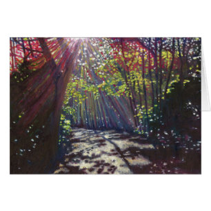 Verspreid licht 2013