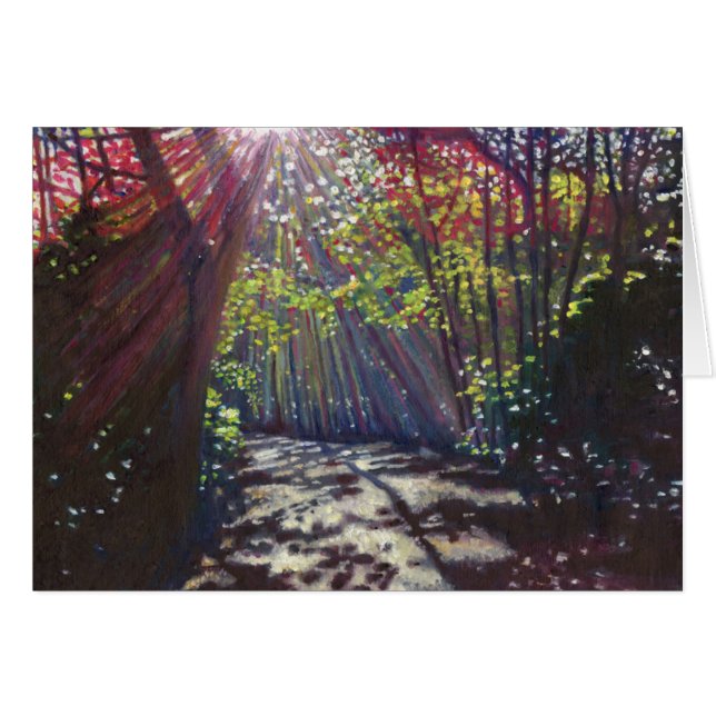 Verspreid licht 2013 (Voorkant Horizontaal)