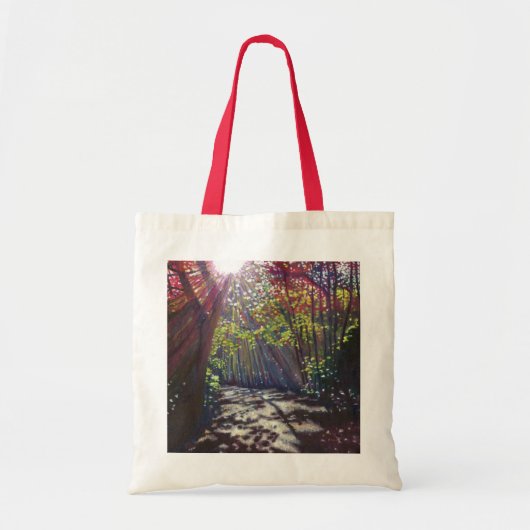 Verspreid licht 2013 tote bag (Voorkant)