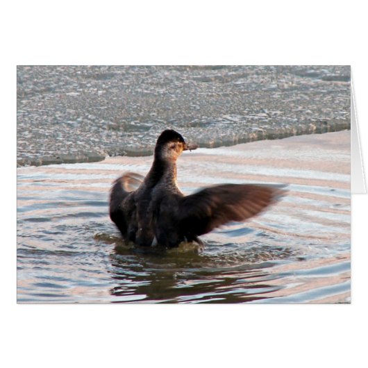 Verspreid uw wensen (Voorkant Horizontaal)