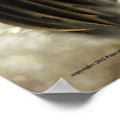 Verspreid uw Wingen Poster (Hoek)