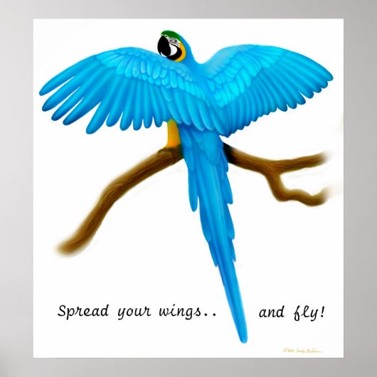 Verspreid uw Wings Parrot Druk Poster (Voorkant)