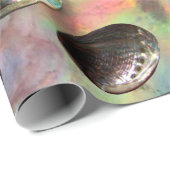 Verspreide 3D Paua Shells op Paua Achtergrond Cadeaupapier (Rol Hoek)